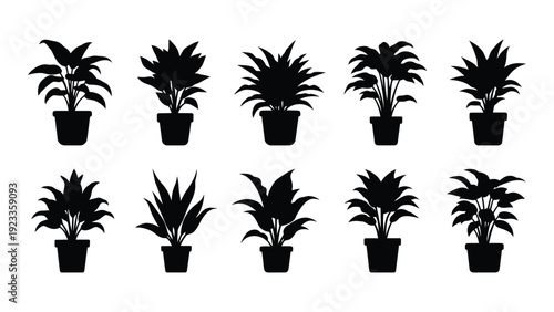 A collection of potted plants in black silhouette isolated on white background, Vector