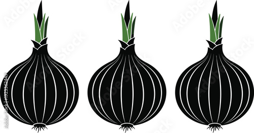 Black onion silhouette with green sprouts illustration, fresh vegetable bulb set, organic food ingredient isolated on white background, kitchen vector.