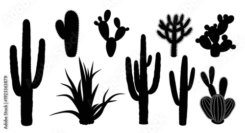 Cacti and Desert Plants Silhouettes Collection.