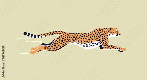 Cheetah Running Fast with Spotted Fur.