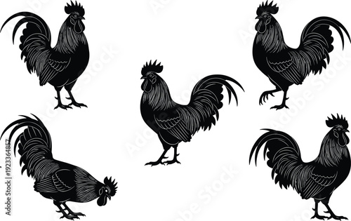 Black rooster silhouettes set, farm poultry vector icons, male chicken engraved illustrations for rural agriculture, organic food labels, livestock graphics.