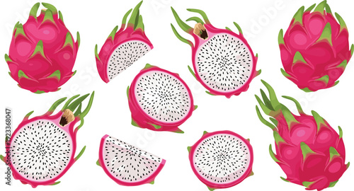 Dragon Fruit Collection with Whole and Cut Pieces Illustration, Tropical Pitaya Set for Healthy Food Design, Juice Branding, and Organic Nutrition Concepts