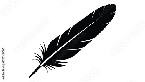 A black feather on a white background isolated on white background, Vector