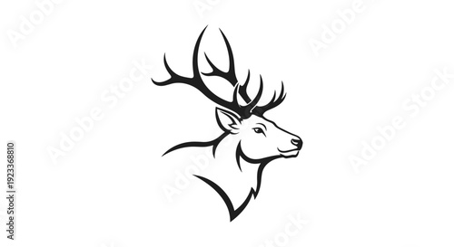 Black and White Deer Head Illustration.