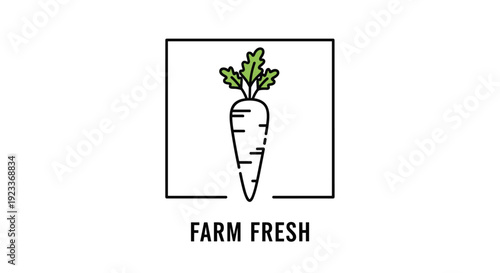 Minimalist farm fresh carrot icon in a square frame, highlighting natural organic produce and healthy vegetables from local agriculture.