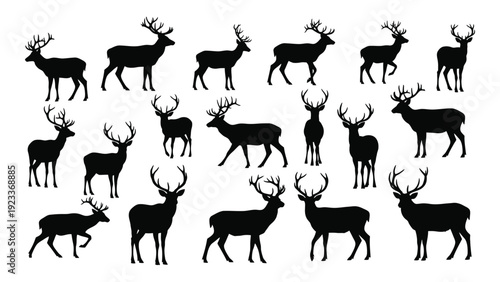 A group of deer silhouettes in various poses isolated on white background, Vector
