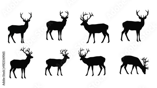 A group of deer silhouettes in various poses isolated on white background, Vector