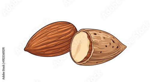 Two almonds side by side with one of them sliced open to show the white nut inside, representing raw ingredients and healthy fats.