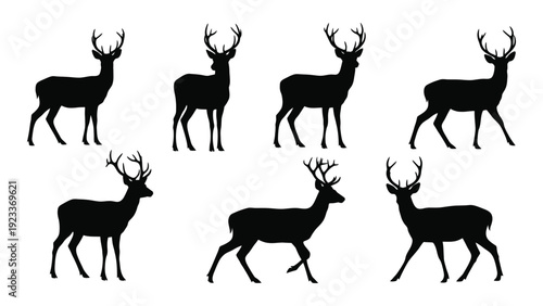Seven black deer silhouettes on a white background isolated on white background, Vector