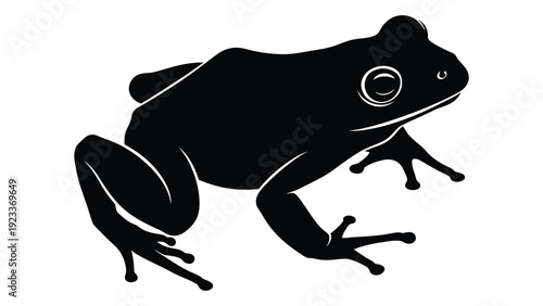 A black silhouette of a frog on a white background isolated on white background, Vector
