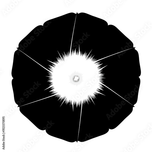 Stylized Black Flower Silhouette with White Center Burst