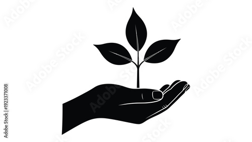 A hand holding a small plant with three leaves isolated on white background, Vector