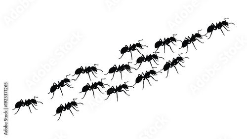 A line of ants walking in a diagonal line on a white background isolated on white background, Vector