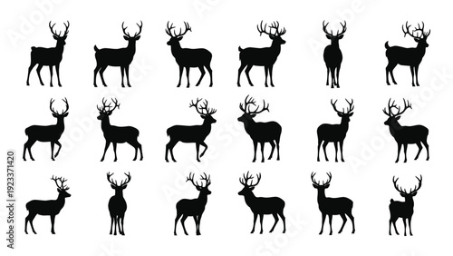 A group of black deer silhouettes on a white background isolated on white background, Vector