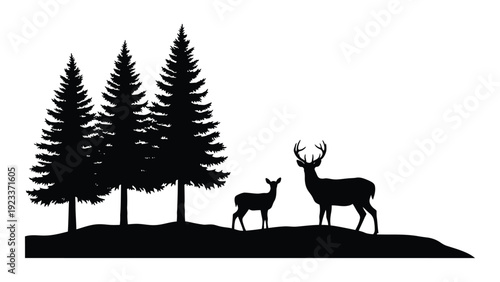 A deer and a buck standing on a hill with pine trees isolated on white background, Vector
