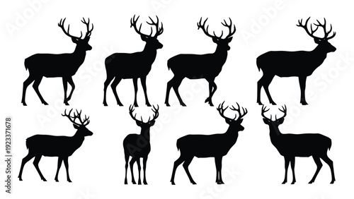 A group of deer silhouettes standing in different poses isolated on white background, Vector