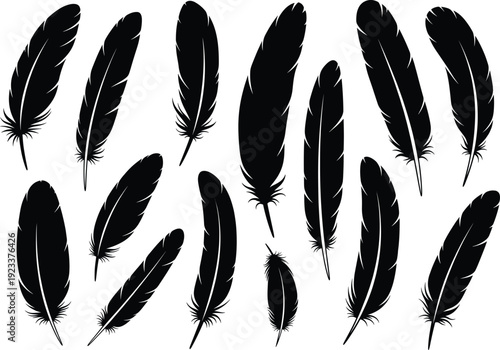 Black feather collection vector illustration, elegant bird quill silhouette set, natural decorative element design, vintage boho style art for creative projects