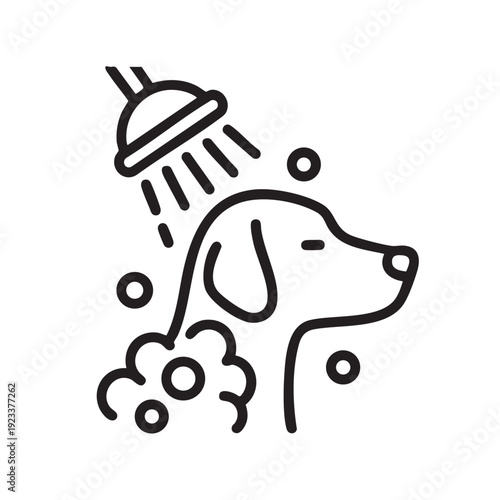 Dog enjoying refreshing shower, water splashing, cleanliness, animal care, grooming