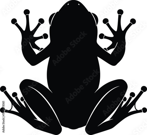 Black frog silhouette top view, isolated vector illustration of amphibian toad, wild nature animal icon, flat design glyph for logo graphic element