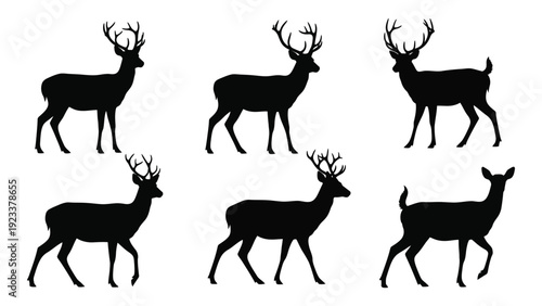 Silhouettes of deer in various poses isolated on white background, Vector