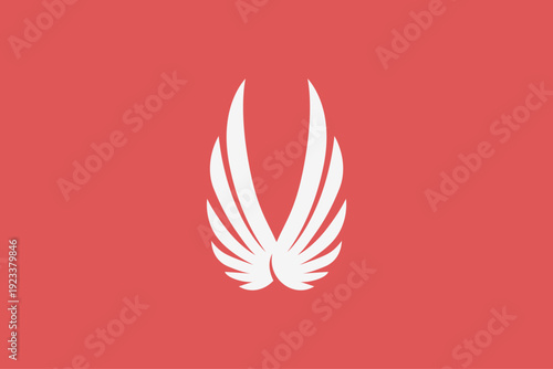 Fotografie cool symetric wings modern logo
