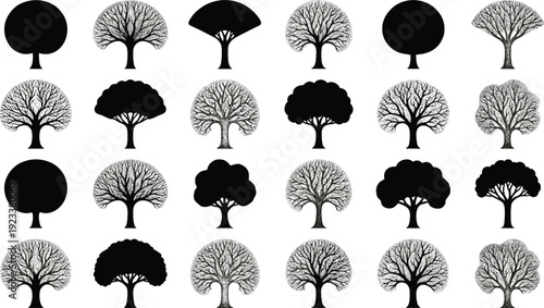 Tree silhouette vector set, isolated black and white forest plant icons with round and deciduous shapes for nature landscape design and environment.