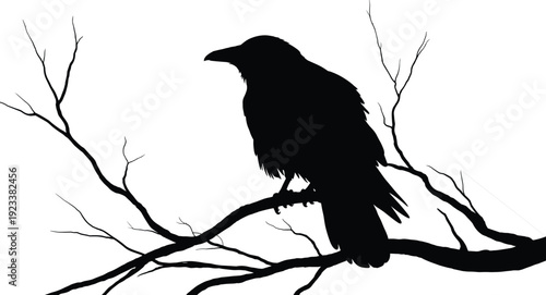 Black raven silhouette perched on tree branch, dark bird illustration, spooky forest wildlife art, gothic nature design, Halloween vector graphic