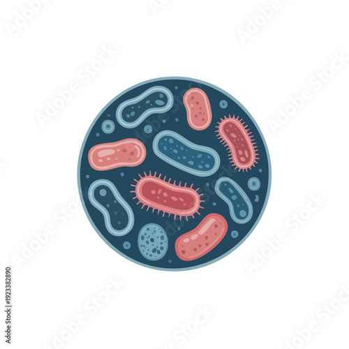 Bacteria Cells Illustration.