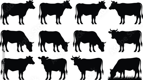 Cow silhouettes collection featuring standing and grazing cattle isolated on white background vector illustration set