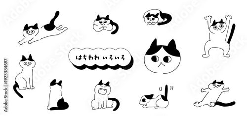 ねこ！はちわれいろいろ｜ぶち,ぶちねこ,ハチワレ｜tuxedo cat