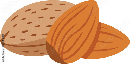 Almond nuts flat vector illustration, healthy organic dry fruit snack isolated on white background minimal design