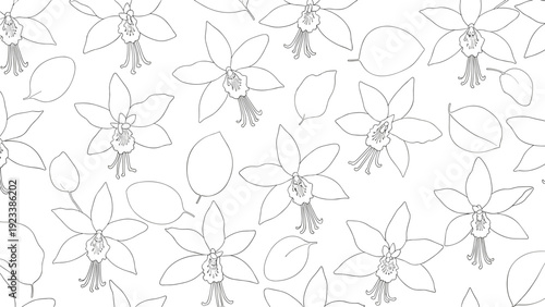 Seamless pattern features delicate black and white line drawings of orchid flowers and leaves, creating a clean and elegant botanical background.