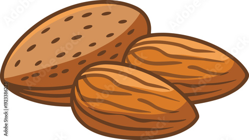 Almond nut vector illustration, healthy organic dry fruit snack isolated on white background simple flat design