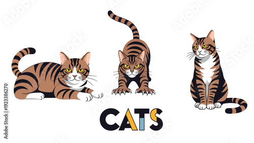Collection of three brown tabby cat illustrations in different poses including sitting and pouncing with the word cats below.