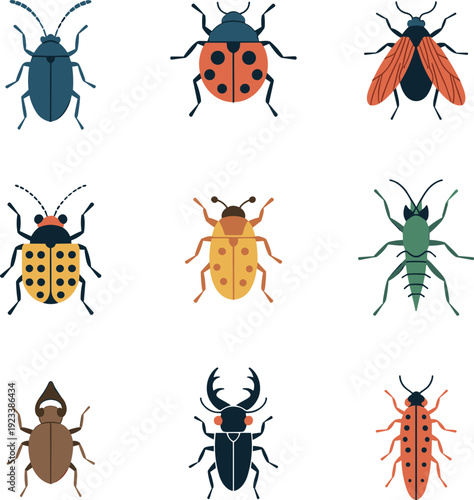 Flat insect vector collection illustration, beetle ladybug ant cockroach bug icon set minimal design