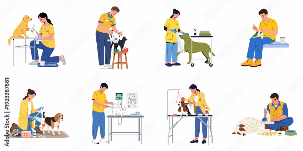 Fototapeta premium Veterinary and Pet Care Services: Illustrated scenes of animal first aid, medical treatment, grooming, and professional support for various domestic animals.