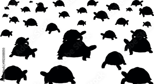 Collection of various turtle silhouettes on a white background