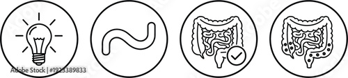 Digestive system and intestine health icon set with colon check symbol isolated vector collection