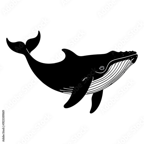 Humpback Whale Silhouette - Marine Life Vector Illustration