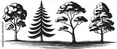 Abstract Eye Silhouette Vector Set  Geometric Shapes and Minimal Design