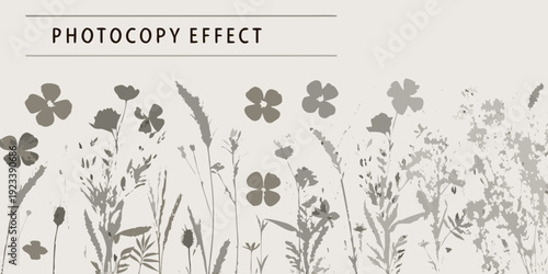 Floral arrangement with a photocopy effect and a neutral background