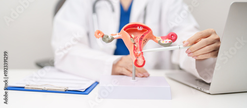 Принти на полотні Doctor with Uterus and Ovaries anatomy model
