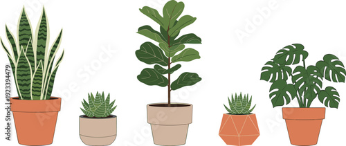 Modern indoor houseplants set, flat vector illustration featuring monstera, fiddle leaf fig, snake plant, and succulent for home interior design, isolated.