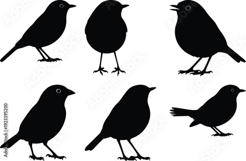 Six black silhouettes of birds standing in various poses on a plain background