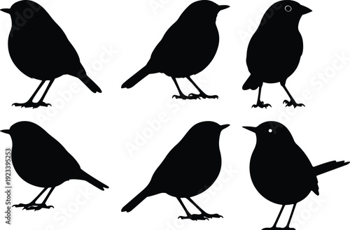 Six black silhouettes of birds perched in various relaxed poses against a plain background