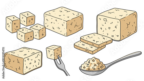 Diverse presentation of tofu including whole blocks small cubes sliced pieces and crushed textures for vegetarian cooking.