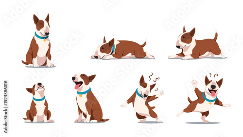Set of bull terrier dog character illustrations showing different poses such as sitting, playing, sleeping, and jumping.