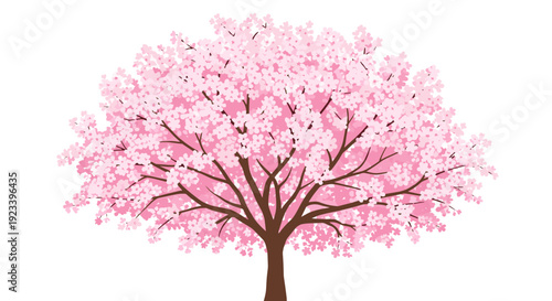 Pink Cherry Blossom Tree with Flowers.