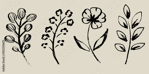 Delicate floral sketches a collection of hand drawn botanical illustrations