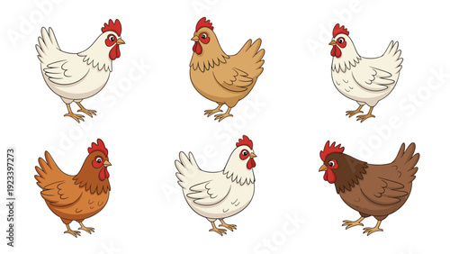 Diverse breeds of domestic chickens shown in different colors and patterns for farm and poultry themes.